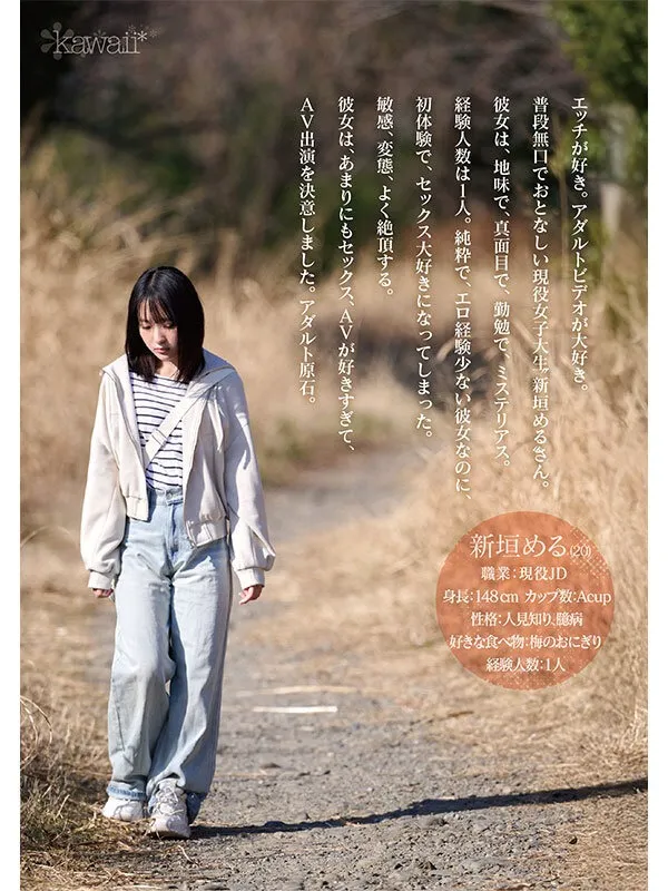 サンプル画像2